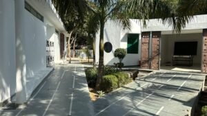 Basic Education 1