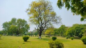 Nalanda 2