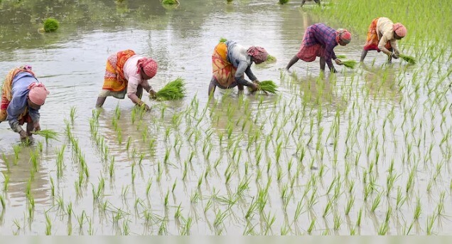 Agriculture