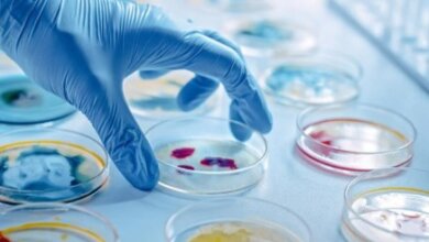 Microbiology Labs