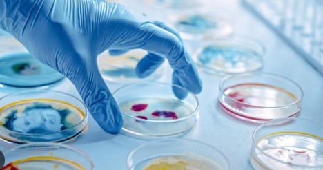 Microbiology Labs