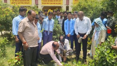 Environment Day