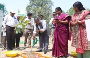 tree plantation 1 1 e1749137389482