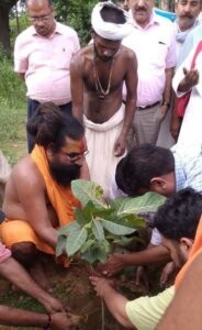 Plantation 2