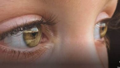 eye