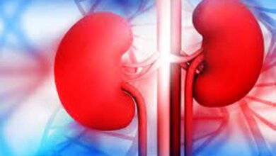 kidney
