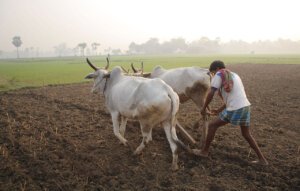 यूपी में ब्याज और अर्थदंड माफी योजना-2026 लागू, पुराने बकायेदारों को राहत