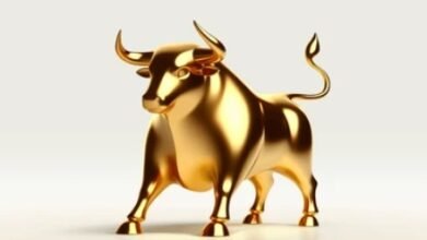 Share Market price thecoverage