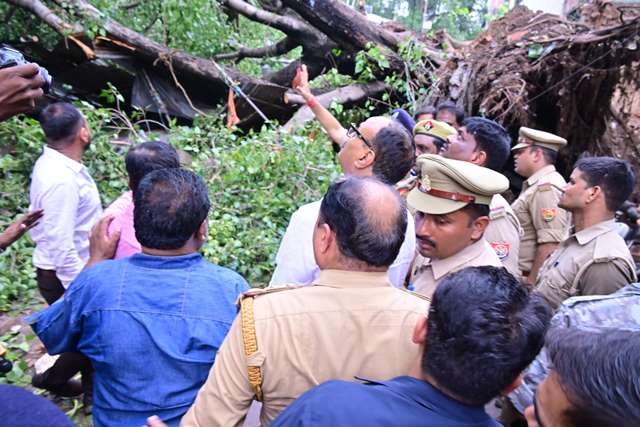 लखनऊ के कैसरबाग में 150 साल पुराना पेड़ गिरा, एक मौत, कई घायल