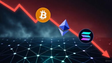 Crypto Crash thecoverage