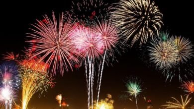 दिवाली पर पटाखों के तेज शोर और धुएं से सतर्क रहें The coverage