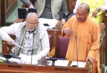 Yogi budget thecoverage.net e1766399605708