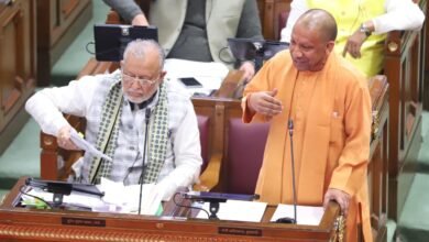 Yogi budget thecoverage.net e1766399605708