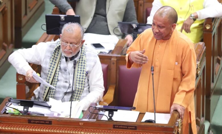 Yogi budget thecoverage.net e1766399605708