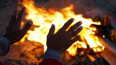 cold weather the coverage 1