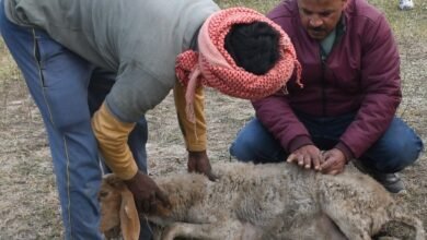 prerna sthal1 the coverage