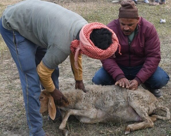 prerna sthal1 the coverage