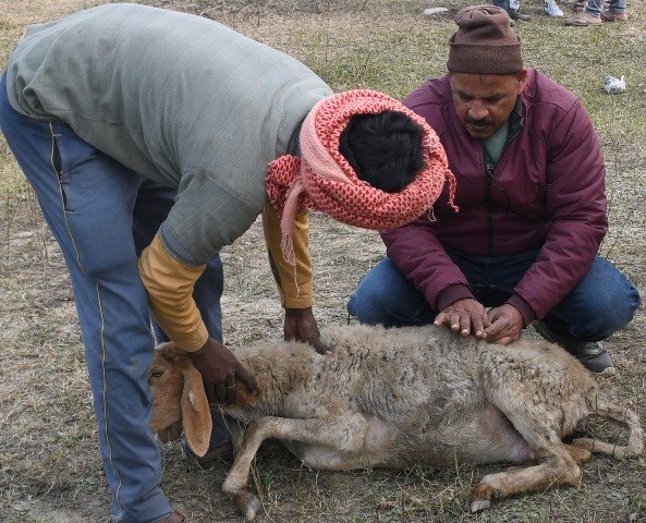 prerna sthal1 the coverage