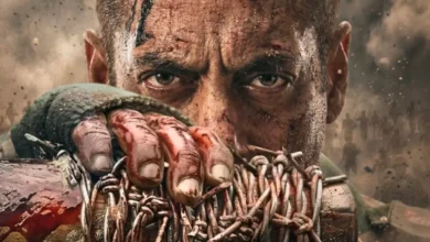 1993201 befunky2026 2 113 15 39