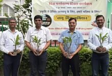 KGMU World Environment Day plantation e1780663911995