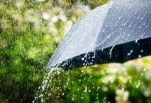 weather thecoverage