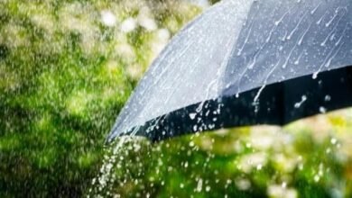 weather thecoverage