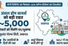 ansal city