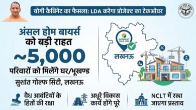ansal city