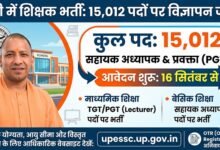 up teachers recruitment teacher bharti
